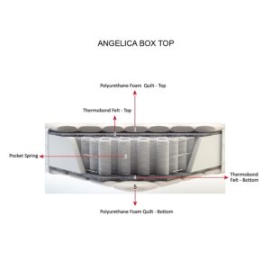 angelica box